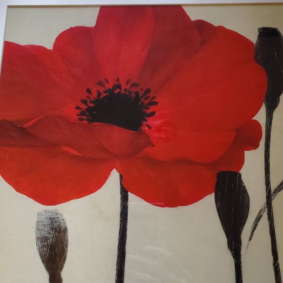 Rare Ivo Stoyanov Print Framed & Signed, Garnet Red Poppy, 17" - Picture 4 of 7